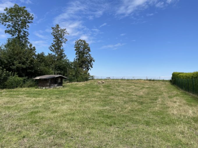 Beau terrain à bâtir à Hambraine !